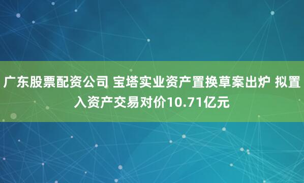 广东股票配资公司 宝塔实业资产置换草案出炉 拟置入资产交易对价10.71亿元