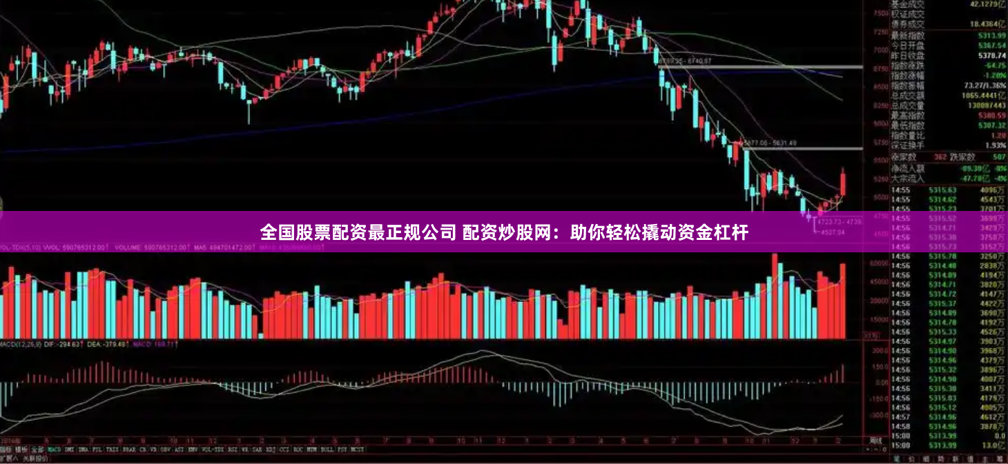 全国股票配资最正规公司 配资炒股网：助你轻松撬动资金杠杆